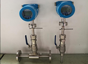 DN300熱式氣體質(zhì)量流量計(jì)